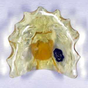 23-49c1205b.jpg